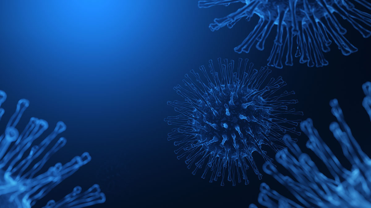 herpes simplex virus